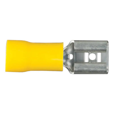 CUR-59593_01.jpg