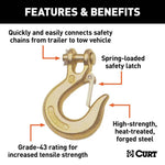 CUR-81900_02.jpg