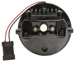 CWF-568B2_Back.jpg