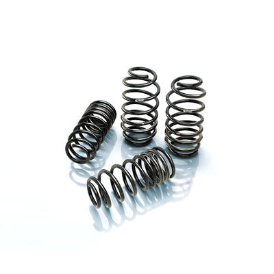 Eibach 2895.140 Pro Kit 11-14 Dodge Challenger Eibach 2895.140