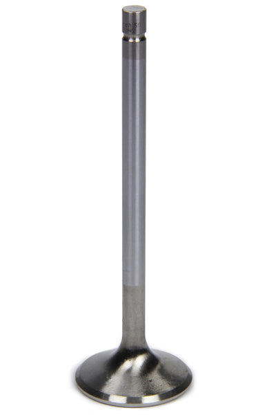 FERF2046P.jpg