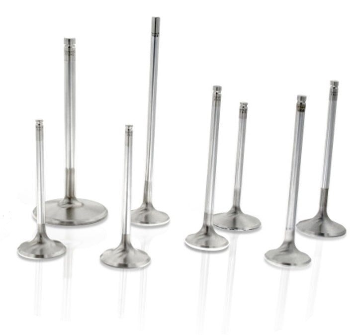 Ferrea F6316-8 SBC C/6 1.600 Exhaust Valves 5/16 5.060 OAL Ferrea F6316-8