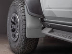 FORD_Bronco_Raptor_23_110162_Original_20file.jpg