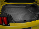 FORD_Mustang_15_40727_Original_20file.jpg