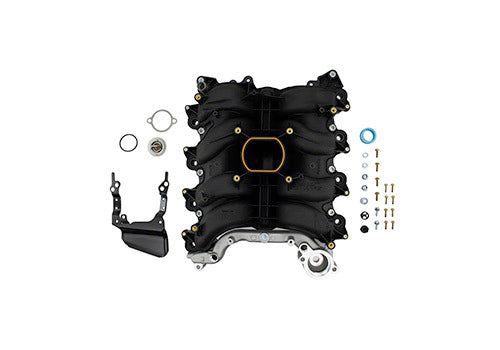 Ford Performance Parts M-9424-P46A Intake Manifold 4.6L 2V SOHC 01-04 Mustang GT Ford Performance Parts M-9424-P46A