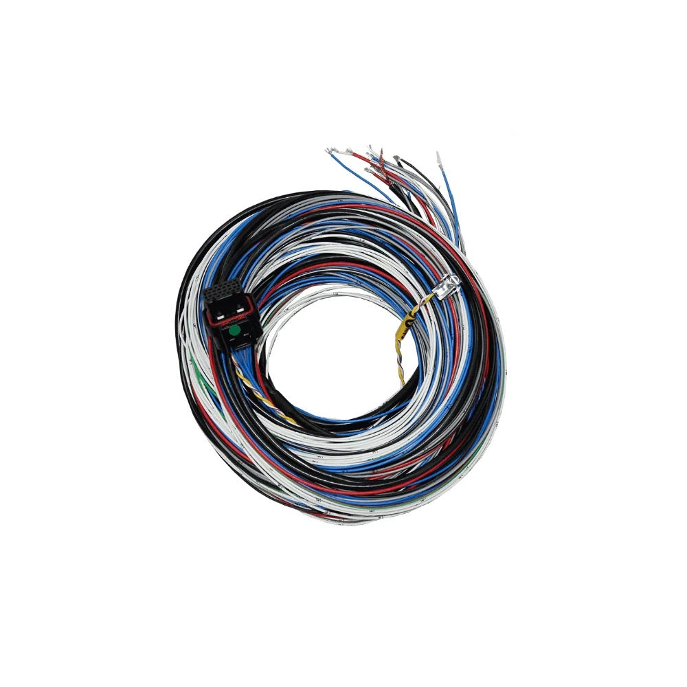 FuelTech 2001005570 FT450/550 A Harness 20ft FuelTech 2001005570