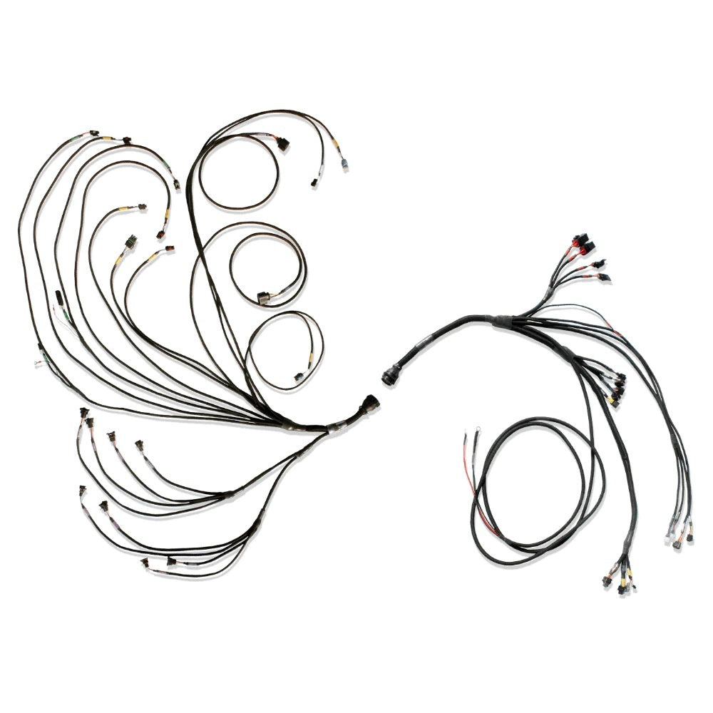 FuelTech 3026109080 PRO600 V8 Complete Wiring Harness FuelTech 3026109080