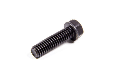 GMP3951644.jpg