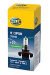 H13P50_PT95.jpg