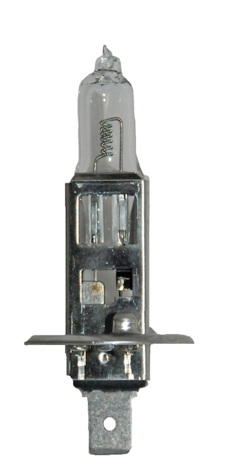 Hella H1 24V DP Multi Purpose Light Bulb Hella H1 24V DP