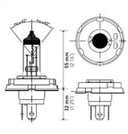 H4_P45TSB_PT01.jpg