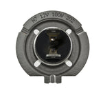 H71070307_BOTT.jpg