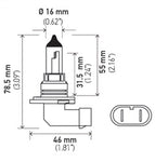 H71070602_PT01.jpg