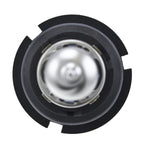 H71070622_TOPP.jpg