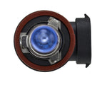 H71070792_TOPP.jpg