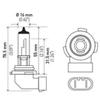 H71071012_PT01.jpg
