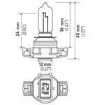 H71071282_PT01.jpg