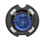 H71071322_TOPP.jpg