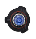H71071412_TOPP.jpg