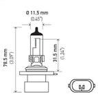 H71071462_PT01.jpg