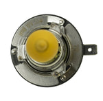 H71071552_TOPP.jpg