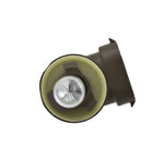 H83020081_TOPP.jpg