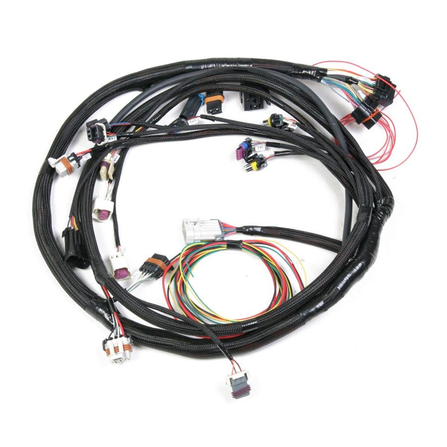 Holley EFI 558-103 Main Wiring Harness LS2 & LS3 Holley EFI 558-103