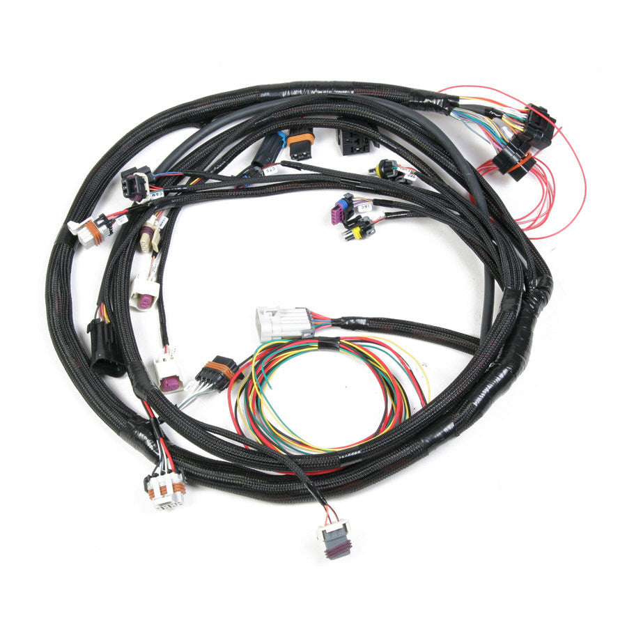 Holley EFI 558-104 Main Harness - Universal MPFI Holley EFI 558-104