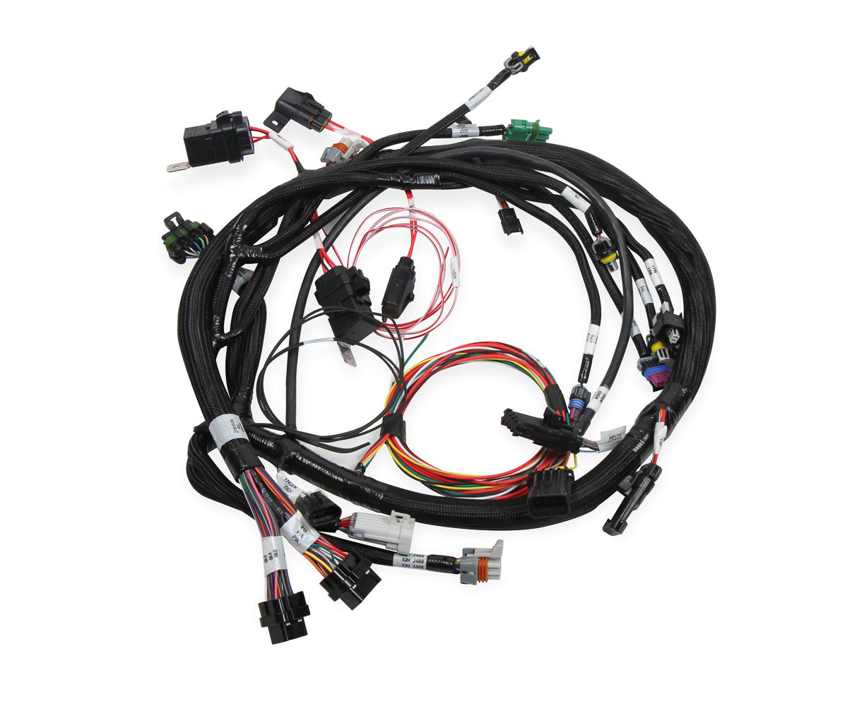 Holley EFI 558-117 Universal MPFI Coil On Plug Main Harness Holley EFI 558-117
