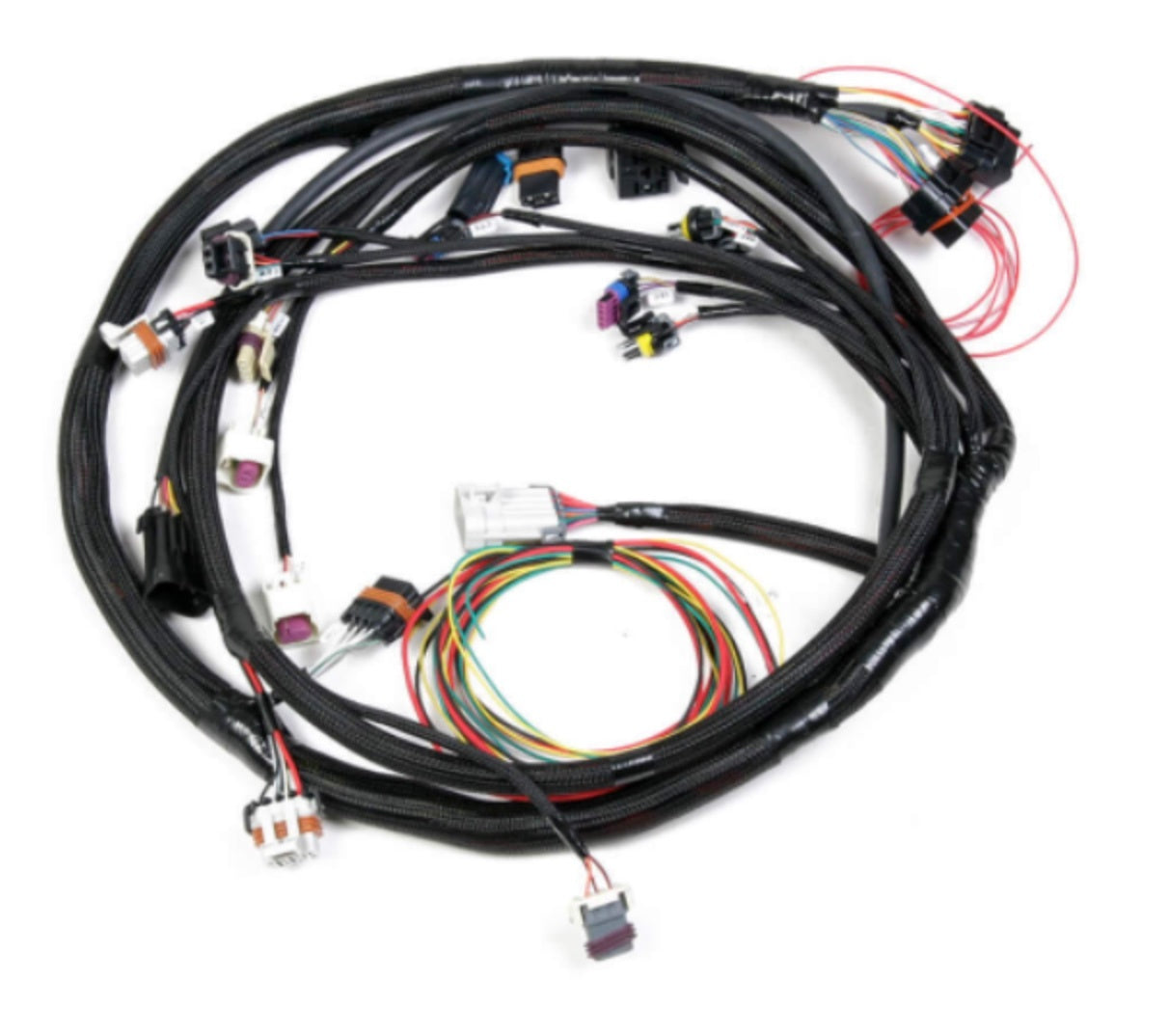 Holley EFI 558-128 Engine Main Harness Ford 5.0L/5.8L Holley EFI 558-128