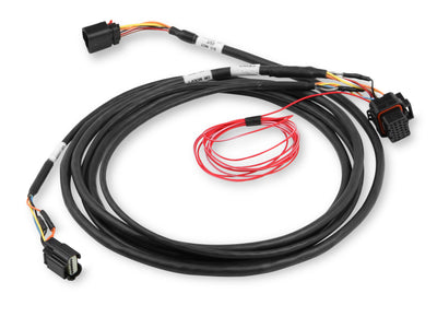 Holley EFI 558-422 DBW Throttle Harness Ford 5.0L Coyote 11-17 Holley EFI 558-422