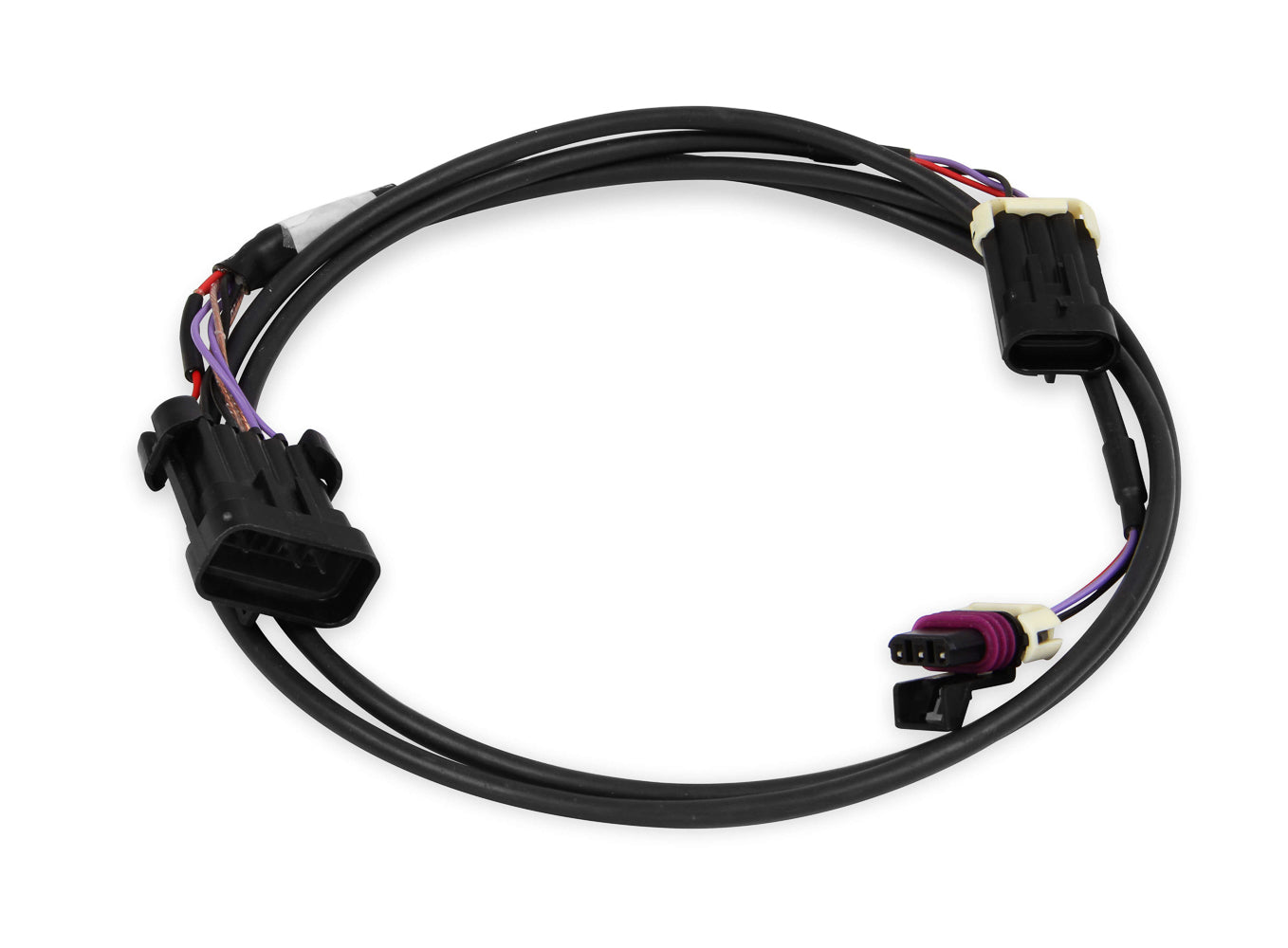 Holley EFI 558-431 Crank/Cam Ignition Harness Holley EFI 558-431
