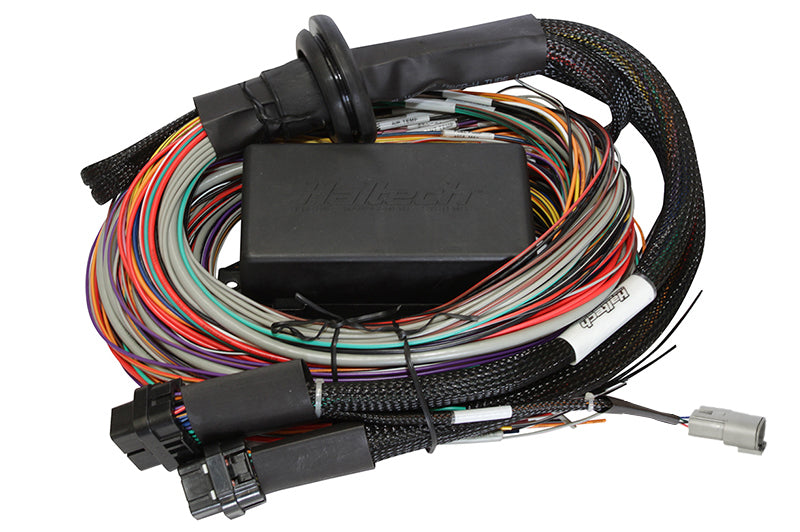 Haltech HT-141304 Elite 2500 Premium Univ. Wire Harness Haltech HT-141304