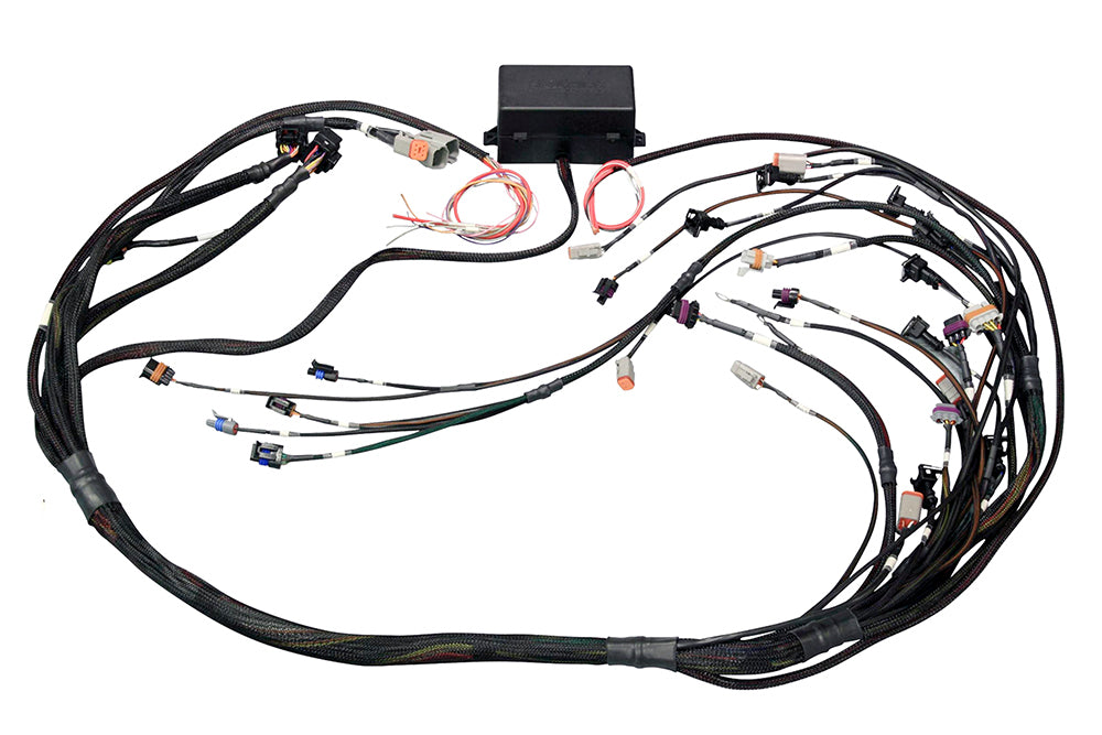Haltech HT-141365 Elite 2000/2500 Non DBW Terminated Wire Harness Haltech HT-141365