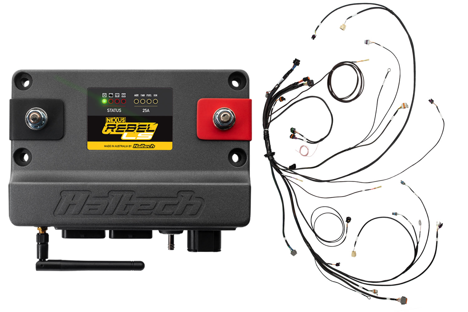 Haltech HT-220204 Nexus Rebel LS Kit w/DBW Throttle EV6 Inj. Haltech HT-220204