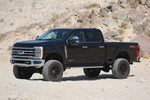 K2404-beauty.jpg