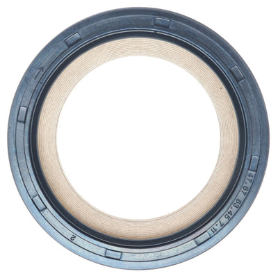 M7768114.jpg
