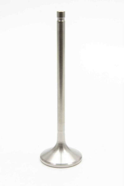 MAN11921-1.jpg