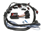 MSD87311.jpg