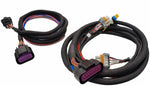MSD88014.jpg