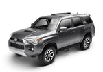 NFB_Nerf_Gloss_FullView_194Runner.jpg