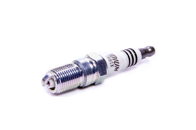 NGKTR8IX.jpg