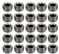 Pioneer PP-554-25 Pipe Plugs - 3/8 (25) Pioneer PP-554-25