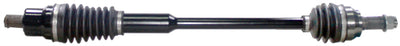 POL-323XP.jpg
