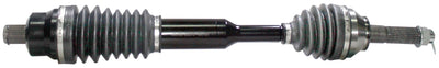 POL-343XP.jpg