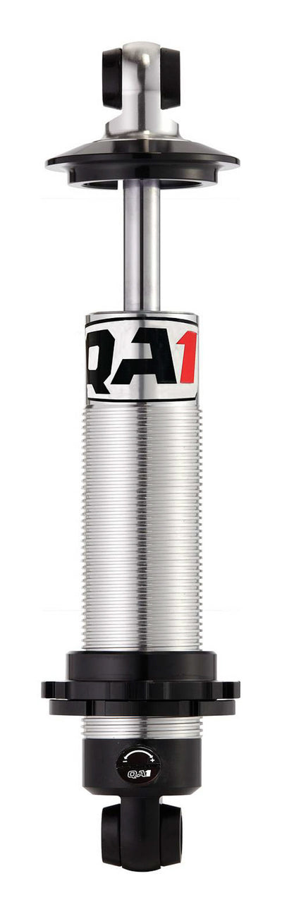 QA1DS404.jpg