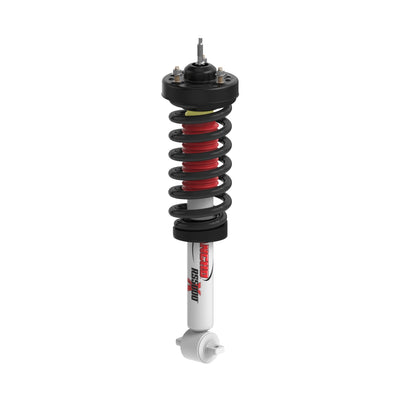 RANRS551836R.jpg