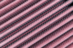 RF100003_004.jpg
