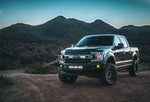 RIGID_2019_Ford_F-150_RDS_Mount_07.jpg