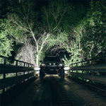 RIGID_Tacoma_Radiance_Scene_06_Edit.jpg